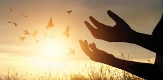 Message aux Artisans de Lumière – 12 juillet 2021